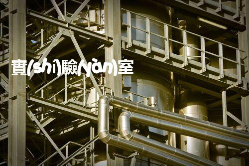 實(shí)驗(yàn)室?；反娣殴?，你真的了解它嗎？